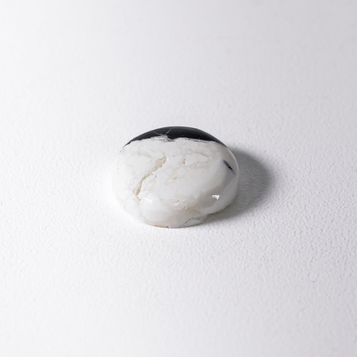 White Buffalo Cabochon Nevada