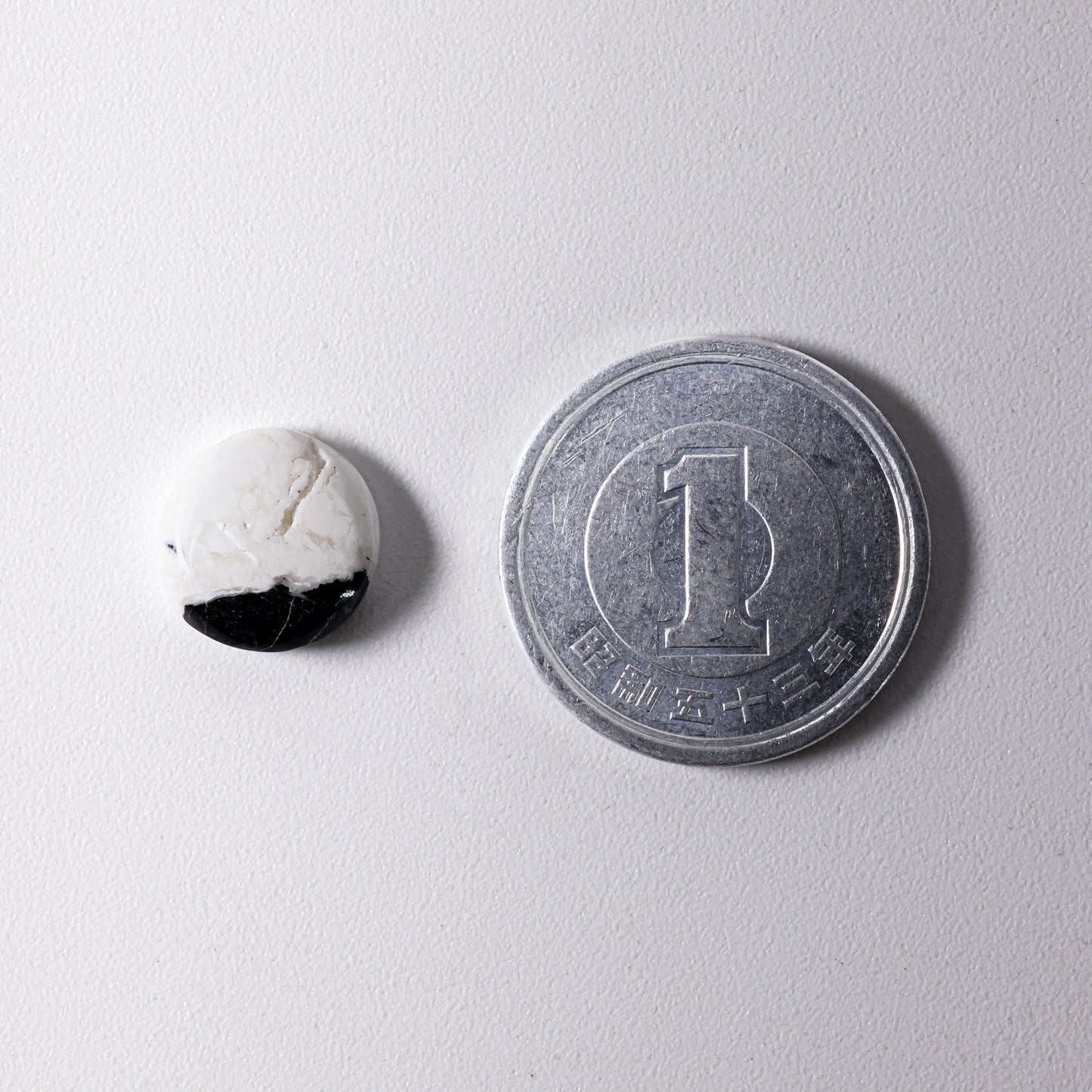 White Buffalo Cabochon Nevada