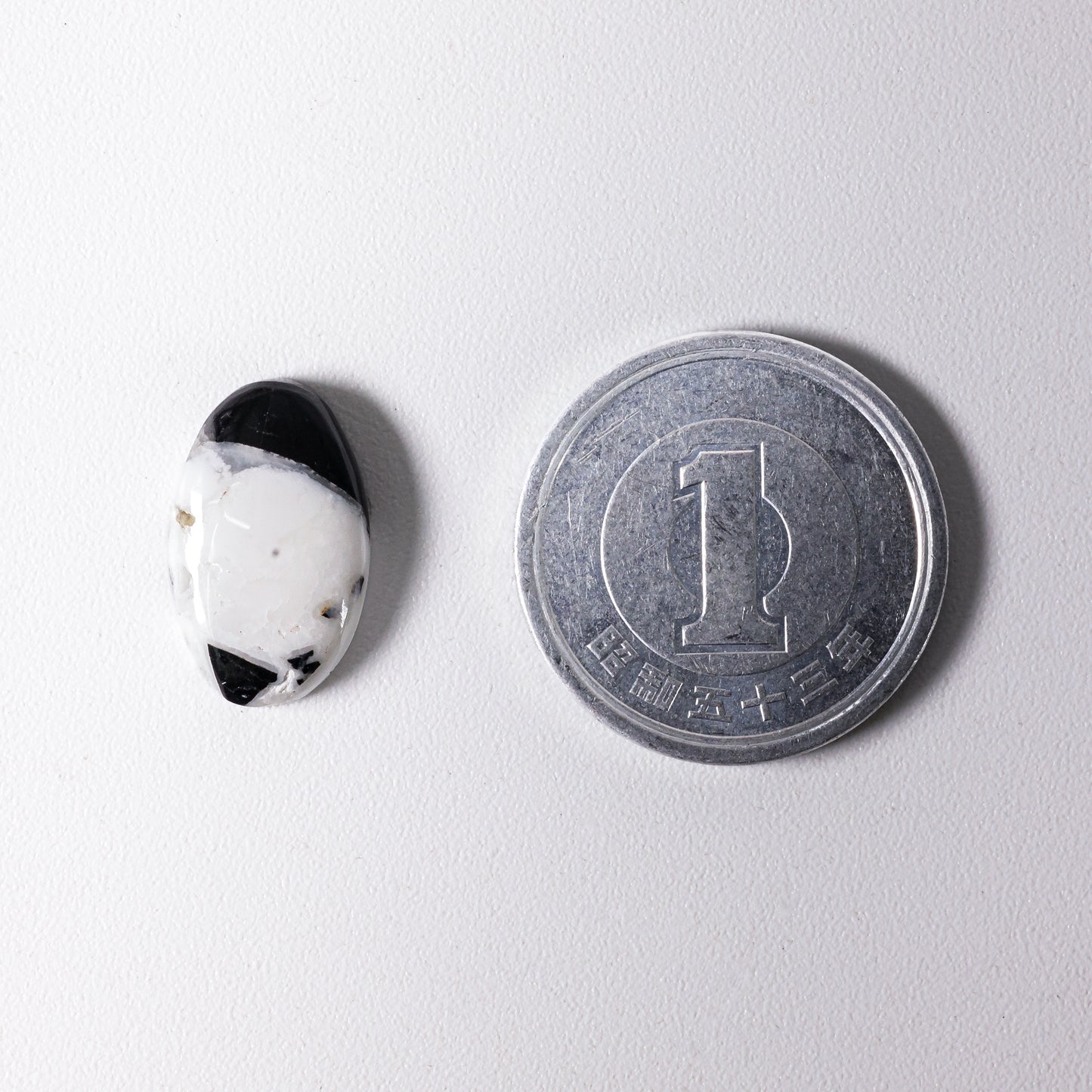 White Buffalo Cabochon Nevada