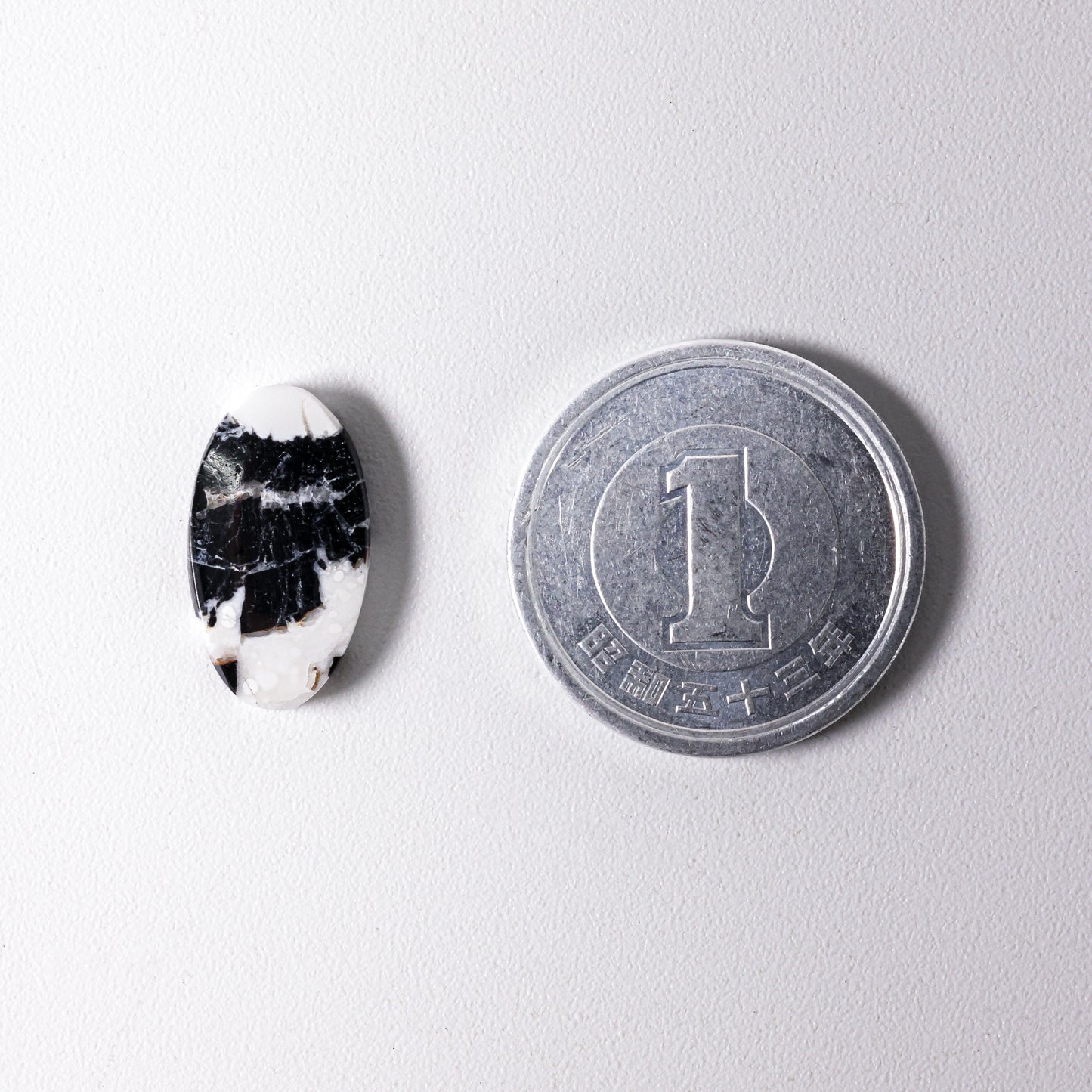 White Buffalo Cabochon Nevada
