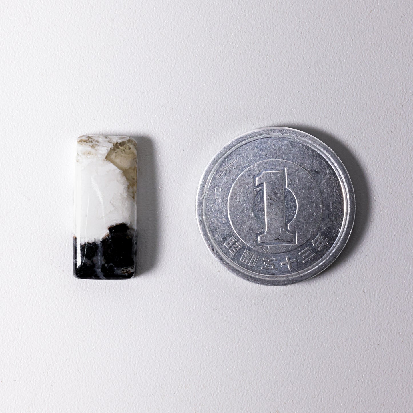 White Buffalo Cabochon Nevada